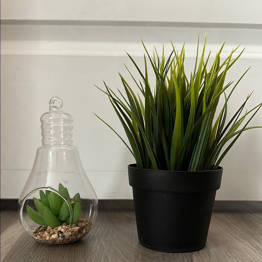 3 for $20 ✨ Black Potted Faux Ikea Plant and Glass Terrarium Set